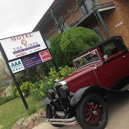 The Vines Motel & Cottages Stanthorpe Exterior photo