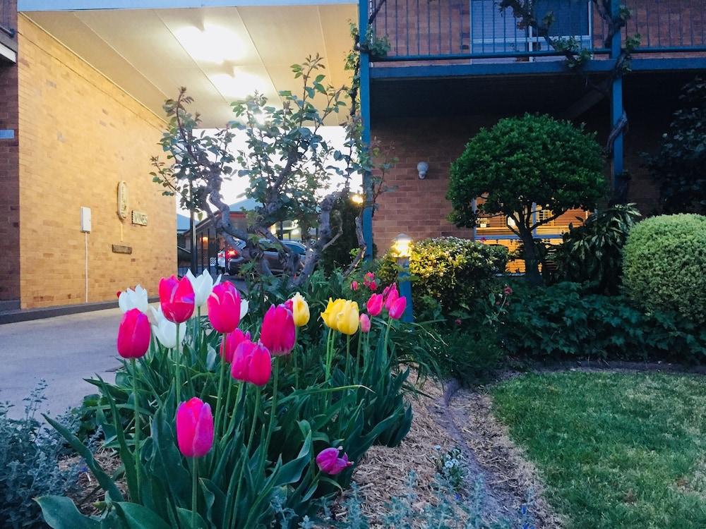 The Vines Motel & Cottages Stanthorpe Exterior photo