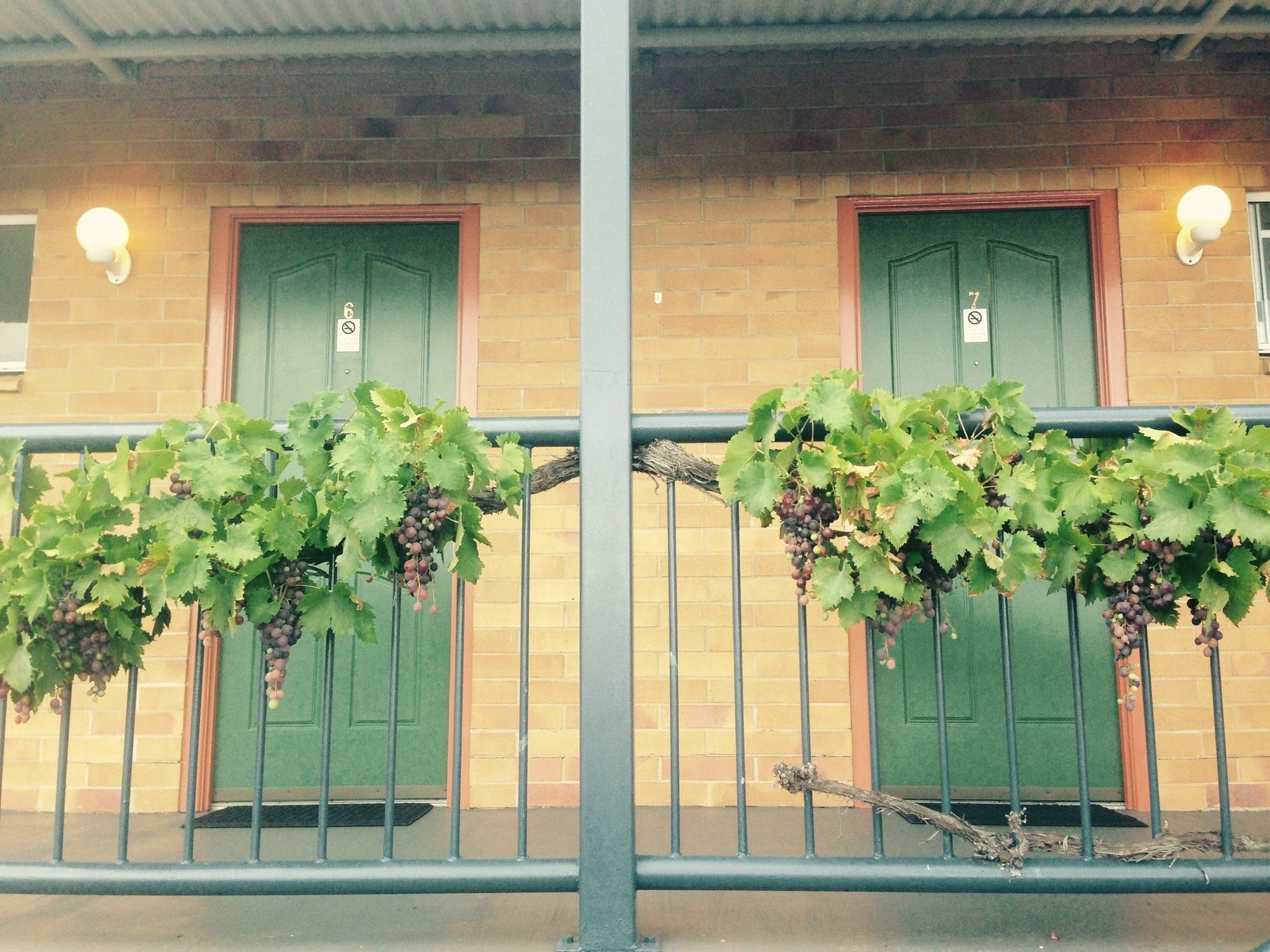 The Vines Motel & Cottages Stanthorpe Exterior photo